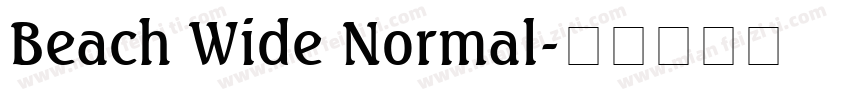 Beach Wide Normal字体转换